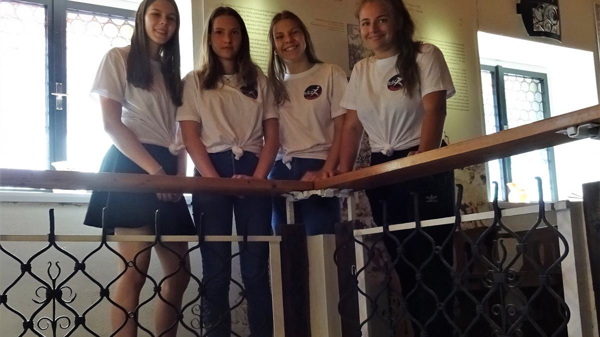 Slika: Foto: Danilo Pru&scaron;nik